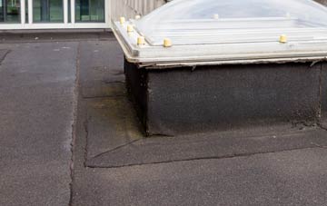 disadvantages of Llanerchemrys flat roofs