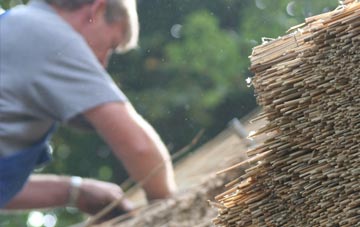 professional Llanerchemrys thatchers